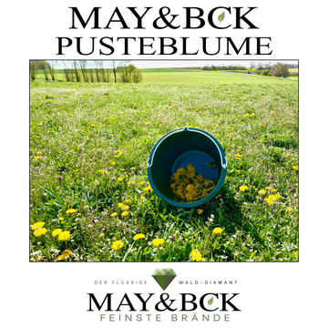 MAY&BCK's Pusteblume - Teil 1