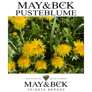 MAY&BCK's Pusteblume - ab sofort im Verkauf!