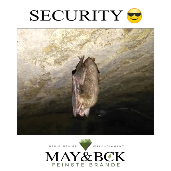 MAY&BCK's neues Fass - Der Blog Teil 5